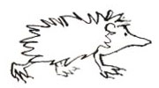 egel (tekening)