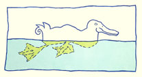 zwemmende eend